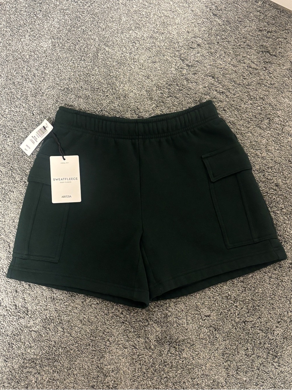 Aritzia Cargo Sweatshort